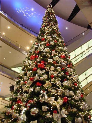 Wunderbaum für Magdeburg 2006